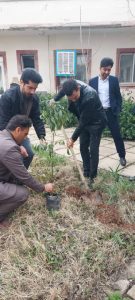 روز درختکاری