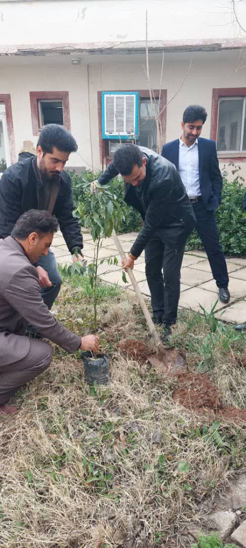 روز درختکاری